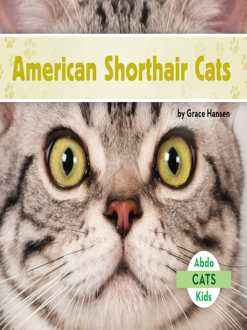 Title details for American Shorthair Cats by Grace Hansen - Available
